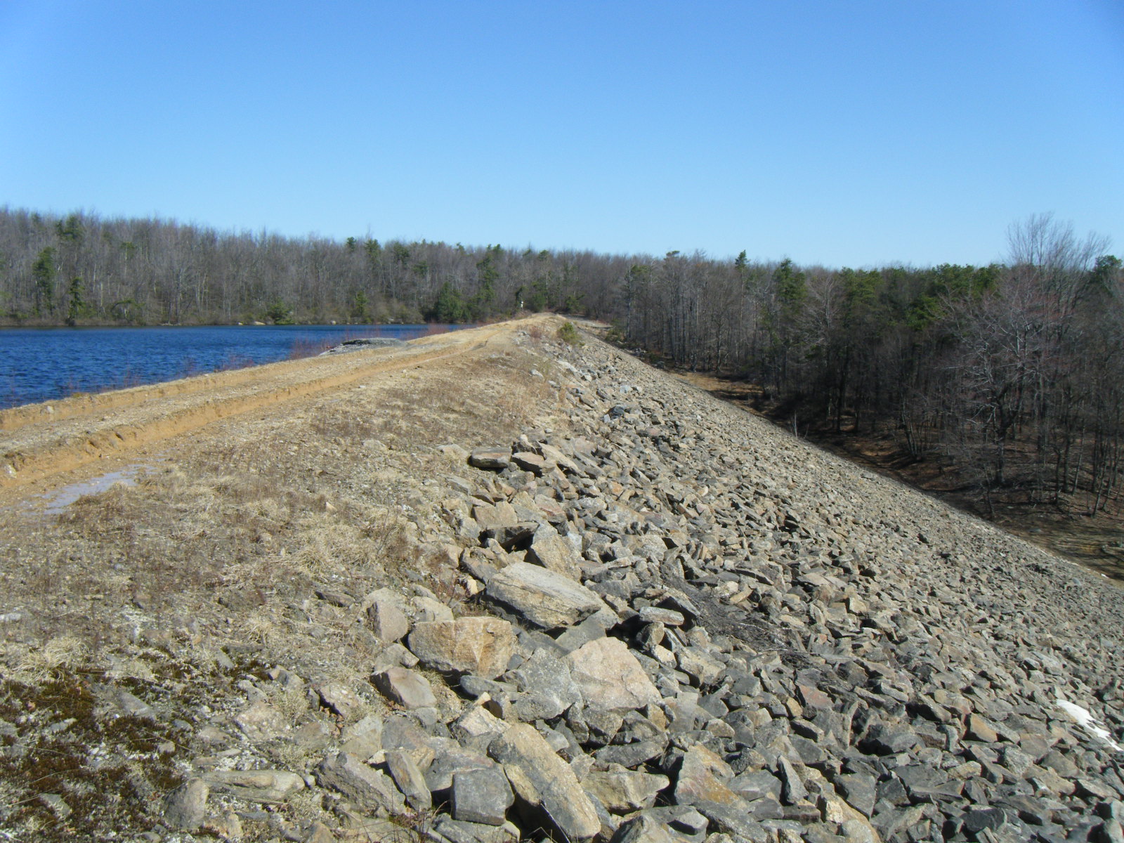 Pine Run Dam 1
